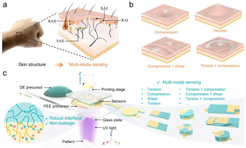 南科大杨灿辉和葛锜团队《Nature Communications》：多材料3D打印具有多模式传感功能的离子电容传感器