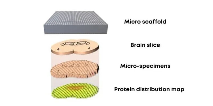 1764054789791768.jpg 微信图片_2025-11-25_150953_316.jpg