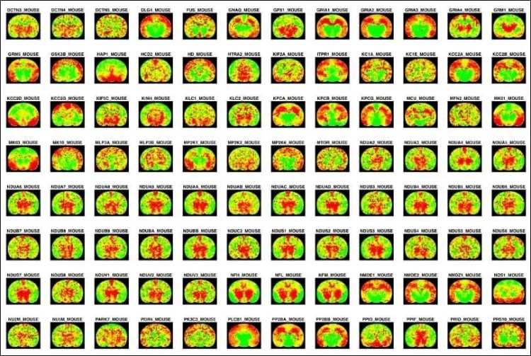 1764054853760480.jpg 微信图片_2025-11-25_150959_644.jpg