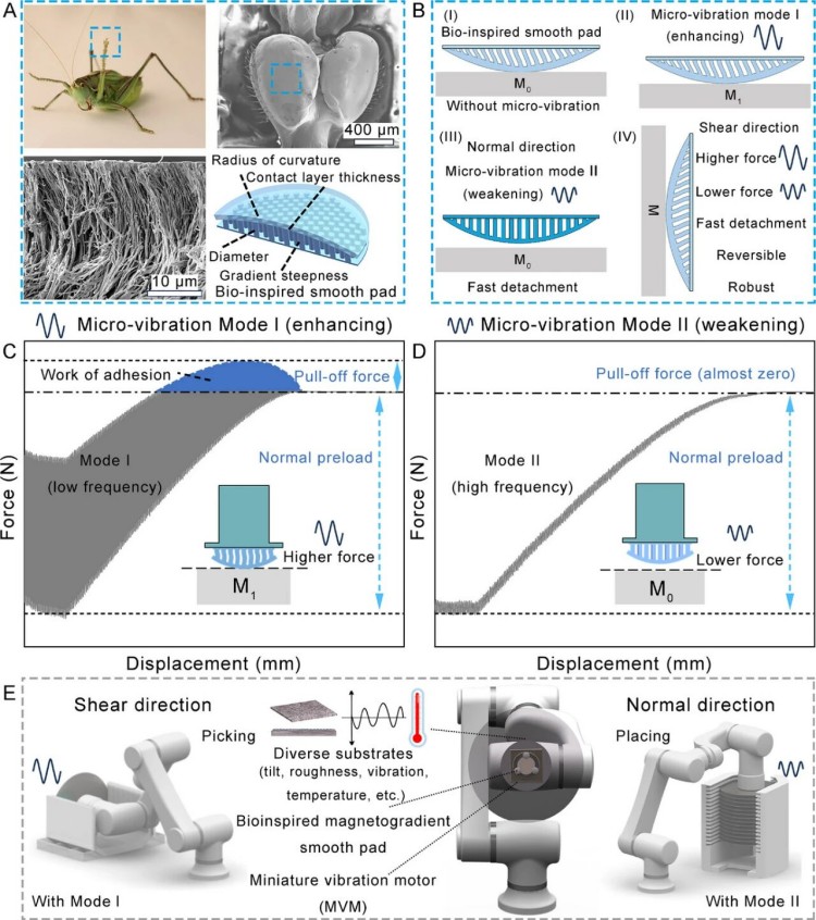 1765420578334996.jpg 微信图片_2025-12-11_102220_601.jpg