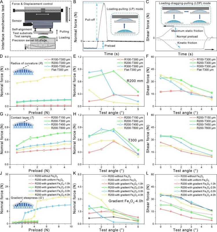 1765420601291697.jpg 微信图片_2025-12-11_102225_765.jpg