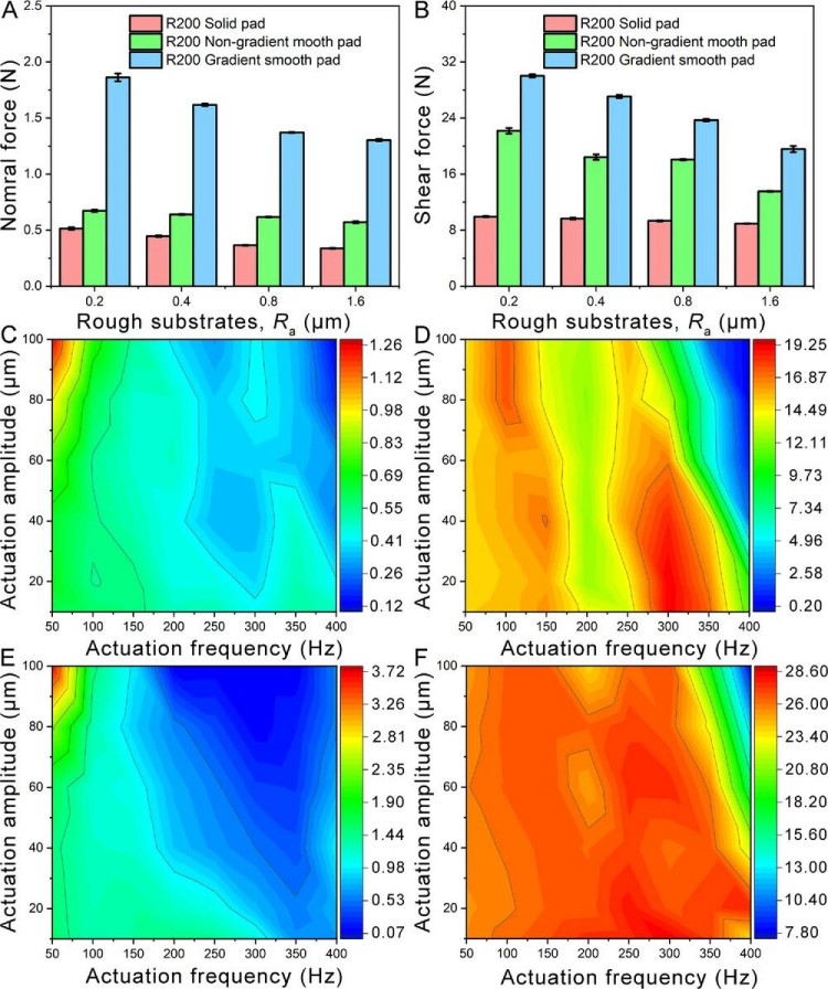 1765421130531066.jpg 微信图片_2025-12-11_102229_305.jpg